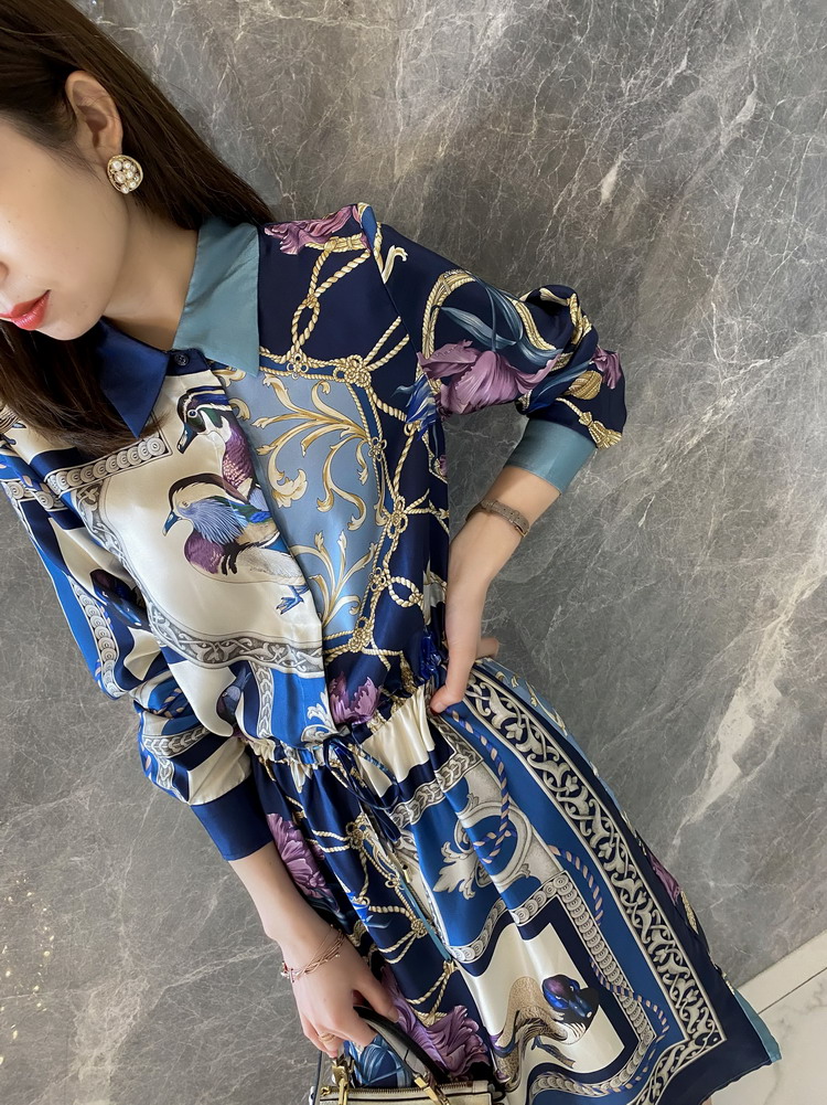 Placement Digital Print Silk Formal Long Sleeve Dress